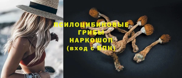 дурь Арсеньев