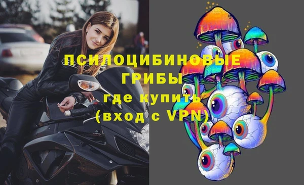 крисы Аркадак