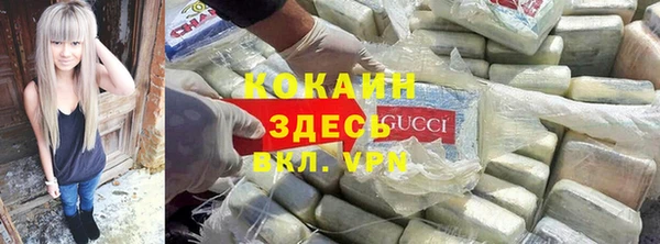 крисы Аркадак