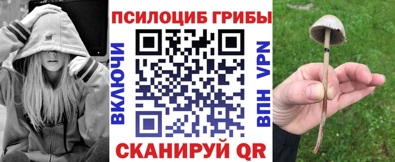 Галлюциногенные грибы Cubensis  Серафимович 